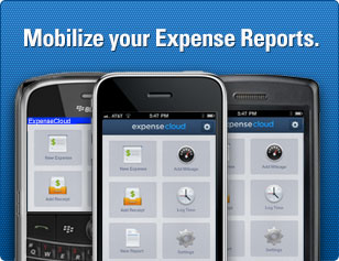 TriNet Expense - Pages